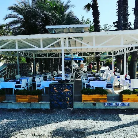 Nocleg ze śniadaniem Guven Beach Bodrum